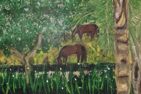 horses on a meadow